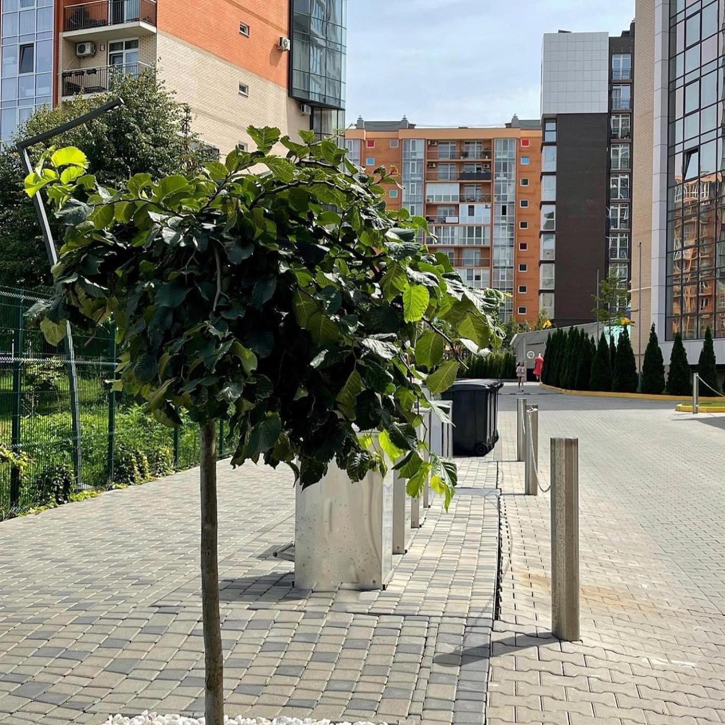 Vodogray Luxury Apartments With Underground Parking Елітний Житловий Комплекс Chernivtsi Luaran gambar