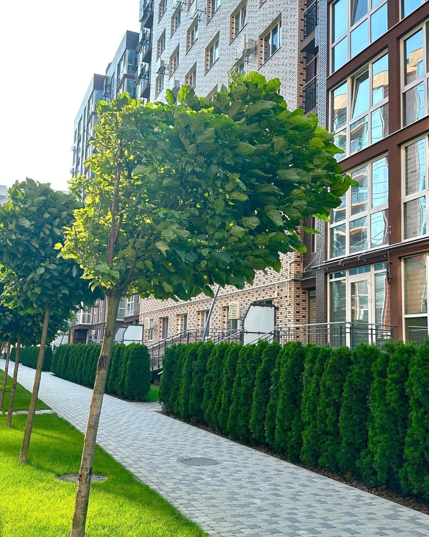 Vodogray Luxury Apartments With Underground Parking Елітний Житловий Комплекс Chernivtsi Luaran gambar